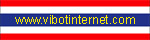vibot-internet-thailand